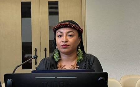 Stem Surinaamse inheemsen klinkt tijdens pre-sessie VN