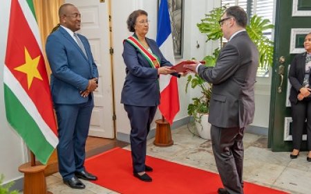 Franse ambassadeur Benoît Denise overhandigt geloofsbrieven aan president Simons