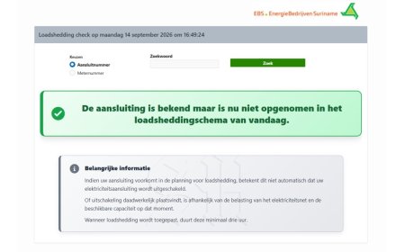 EBS-klanten kunnen loadshedding dagelijks online per aansluiting controleren