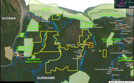 Groene NGO’s: ´Landbouwplan van mennonieten bedreigt ons regenwoud´