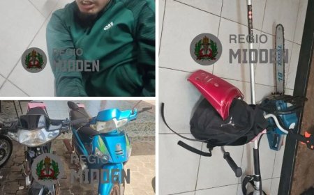 Politie schiet vluchtende verdachte in been