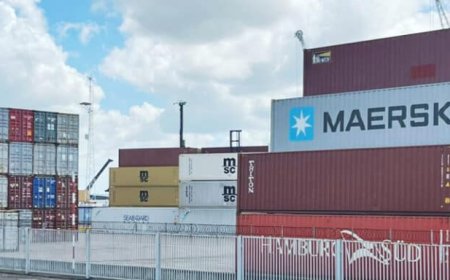 Importprocedures onder de loep na aangehouden container