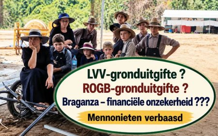 Braganza kreeg duizenden hectares terwijl bedrijfsplan financiële onzekerheid vermeldt