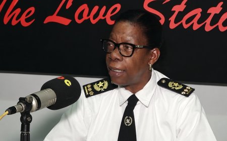 Douane rondt nationaal onderzoek naar visimport af, internationale controle loopt door