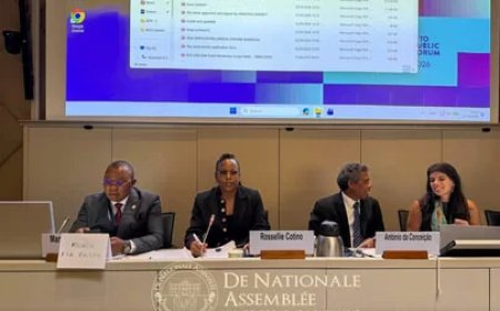 Cotino leidt WTO-debat over rol parlementen bij duurzame dienstenhandel