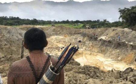 Goudwinning breidt zich het snelst uit op inheemse gronden in Braziliaanse Amazonegebied