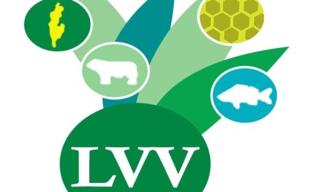 Verhoogde sterfte onder slachtkippen gemeld