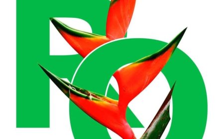 RO organiseert activiteten in aanloop naar Dag der Marrons
