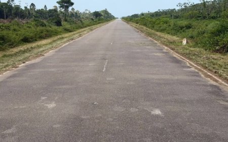 ‘Berm onderhoud’ in Nickerie