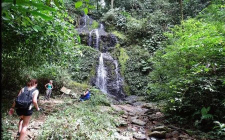 Suriname laat miljoenen uit natuurtoerisme liggen