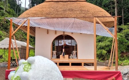 Opmerkelijk – In een bos in Japan is een heiligdom geopend ter ere van knuffeldieren