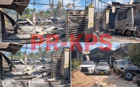 Vernietigende grasbrand Lelydorp