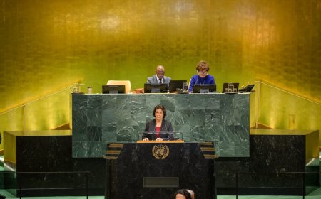 Simons vandaag derde spreker bij VN-debat