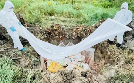 Vogelgriep bevestigd op pluimveebedrijf, LVV scherpt aanpak aan