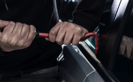 Groot bedrag gestolen uit auto Leo Brunswijk