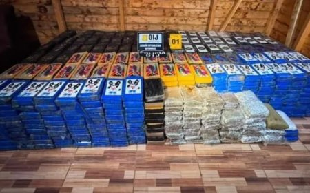 Bijna 500 arrestaties bij internationale actie tegen misdaad