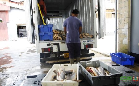 SAIL richt zich op groei en eigen export