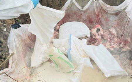 Nasleep vogelgriep: veiligheid en communicatie moeten beter