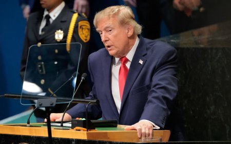 Trump voorspelt val communistisch bewind in Cuba, delegatie verlaat VN-zaal