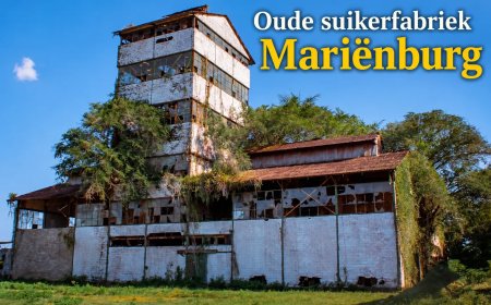 Suikerzoete plannen, bittere oogst