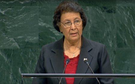 Simons: VN-Veiligheidsraad moet representatiever en slagvaardiger worden