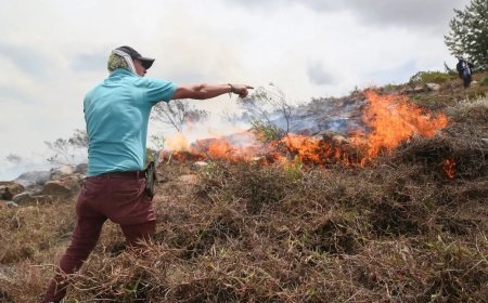 Bosbrand bedreigt toeristisch stadje in Colombiaanse Andes