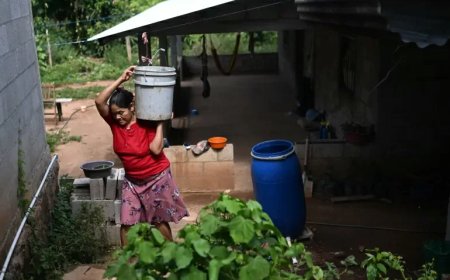Zeer sterke El Niño kan komende maanden leiden tot 451.000 extra hittegerelateerde sterfgeval