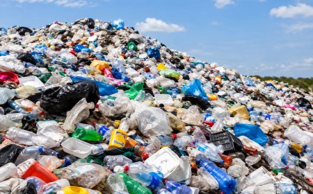 Wetenschappers gebruiken vloeibaar zout voor omzetting plasticafval in brandstof