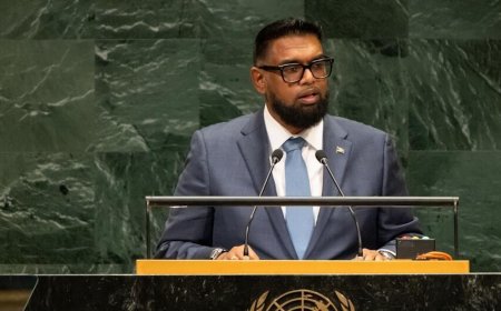 Ali roept Venezuela bij VN op uitspraak grensgeschil te respecteren