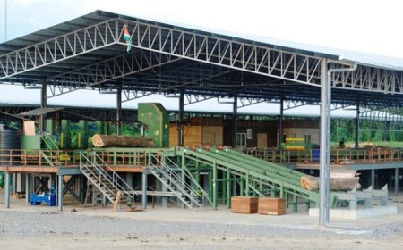 Werkloos geworden Greenheart-arbeiders worden omgevormd tot zelfstandige ondernemers