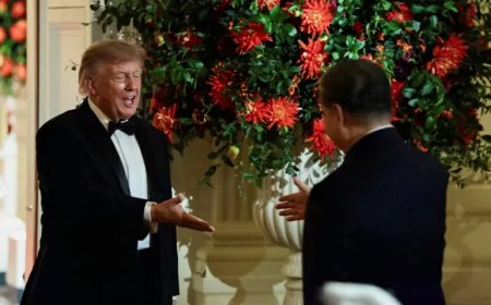 Van 'cheaters' naar 'great friendship': hoe Trump anders over Xi en China is gaan praten