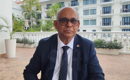 Suriname en 31 OAS-landen vragen verlenging anti-bendemacht in Haïti