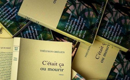 Auteur geschrapt uit nominatie vanwege AI