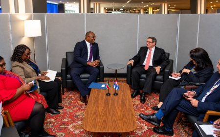 Bouva en Cubaanse minister bespreken energie, landbouw en zorgen over studenten
