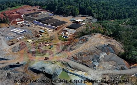 Gouddossier 11: RGM/ZiJin schat schade illegale goudwinning op US$ 138 miljoen