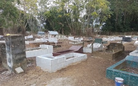 Graven begraafplaats Tweekinderenweg vernield