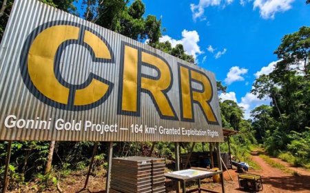 Critical Resources boekt koerswinst na investering in Surinaamse goudsector