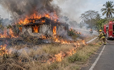 Grasvuur bereikt verlaten woning aan Monplaisirweg en richt ravage aan