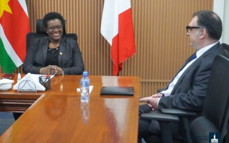 Franse ambassadeur en Financiënminister Wijnerman bespreken bilaterale samenwerking