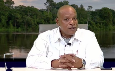 Panka: situatie dakloze Surinaamse moeders in Nederland zeer ernstig