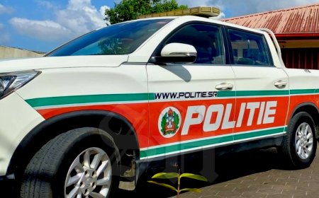 Schutter op bromfiets neemt woning onder vuur aan Laan van Louisehof