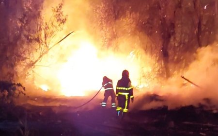 Vlammenzee aan Goedeverwachtingweg: houtafval bedreigt omliggend bos