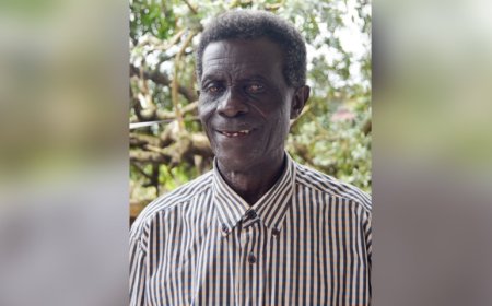 Stonfutu: Hedwich Jozef Guillaume Adipi (80)
