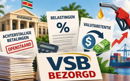 Overheidsschulden, belastingen en valutaregels drukken op bedrijfsleven