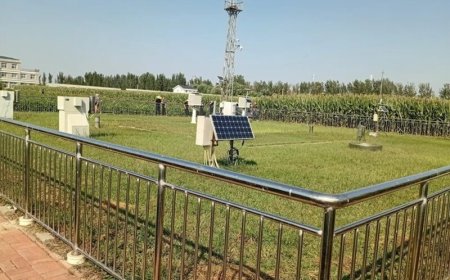 Chinese landbouwtechnologie voor verzilte grond biedt kansen voor Suriname