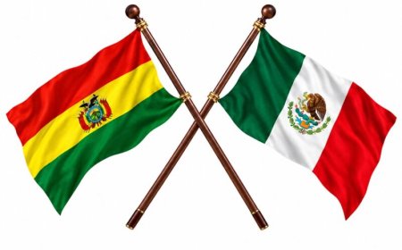 BIS voert visumplicht tijdelijk weer in voor Mexicanen en Bolivianen