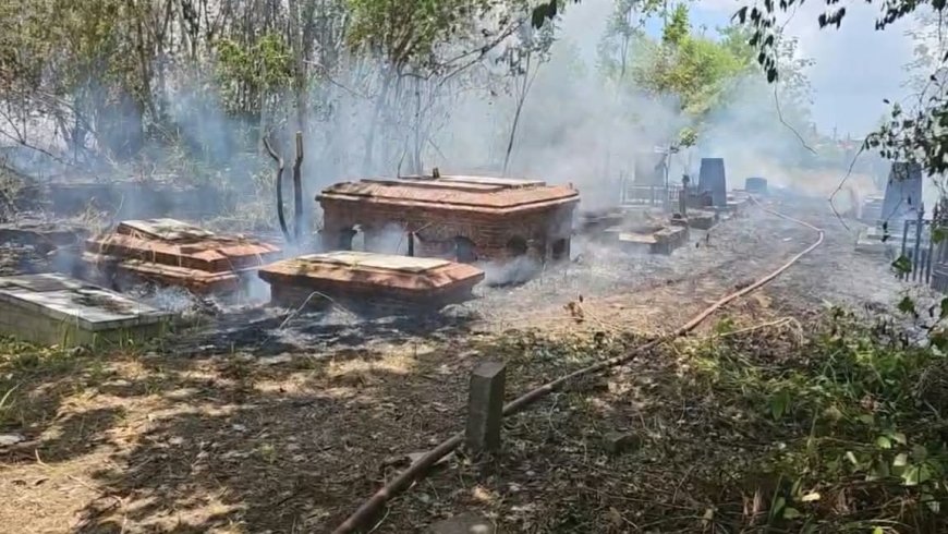 Felle brand bij Oranjetuin na bestrijding Braziliaanse bijen