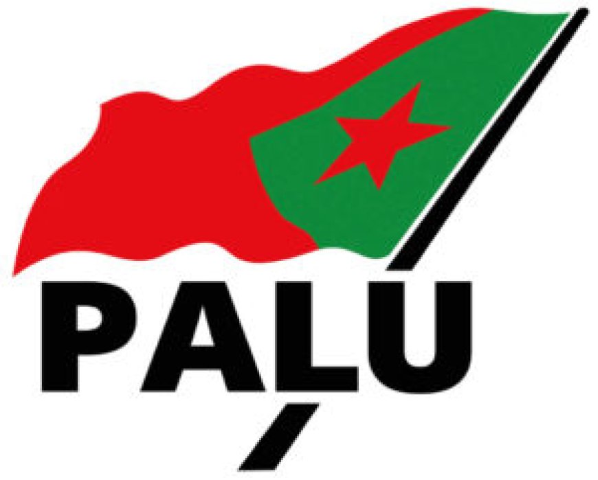 Palu: Vissterfte Saramaccarivier nationale ramp