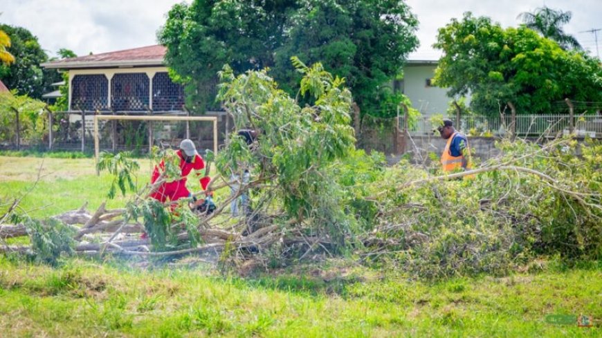 Grote schoonmaak verwaarloosd ‘Sosis’