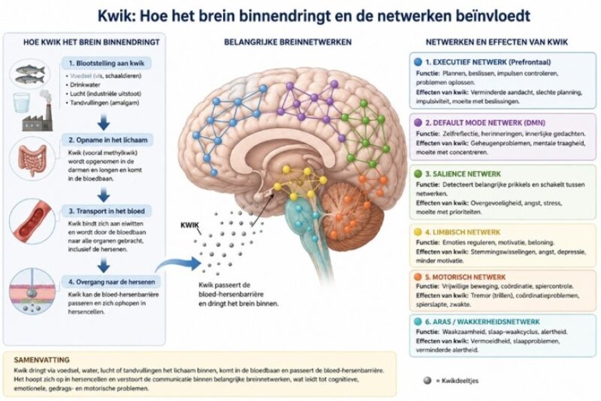 Giftige metalen en de cognitief-emotionele ontwikkeling van het kind (1)